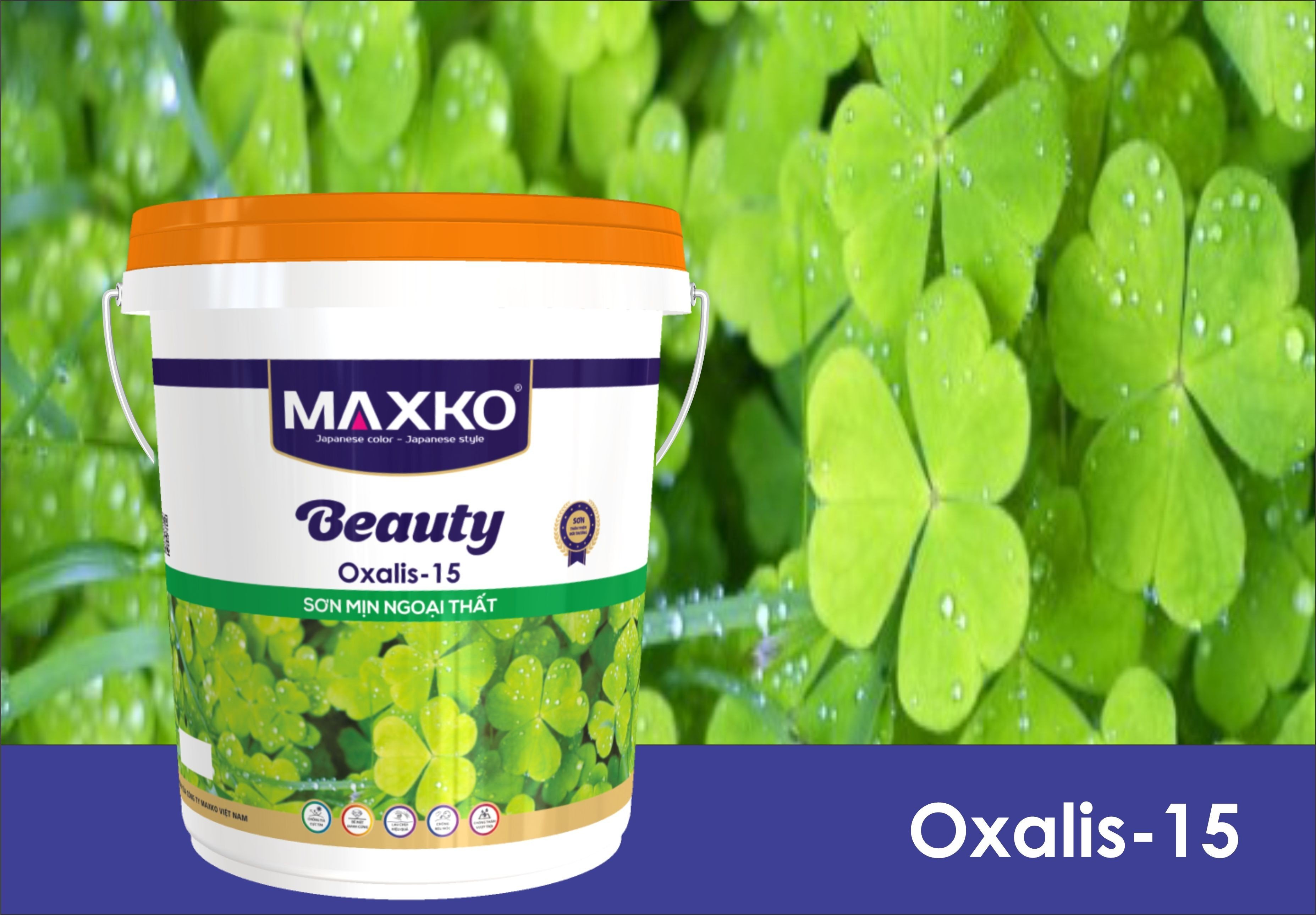 Sơn mịn ngoại thất OXALIS -15